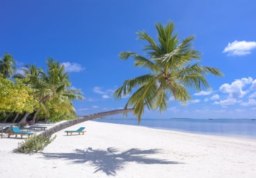 budget hotel attraction img 5 min.jpg